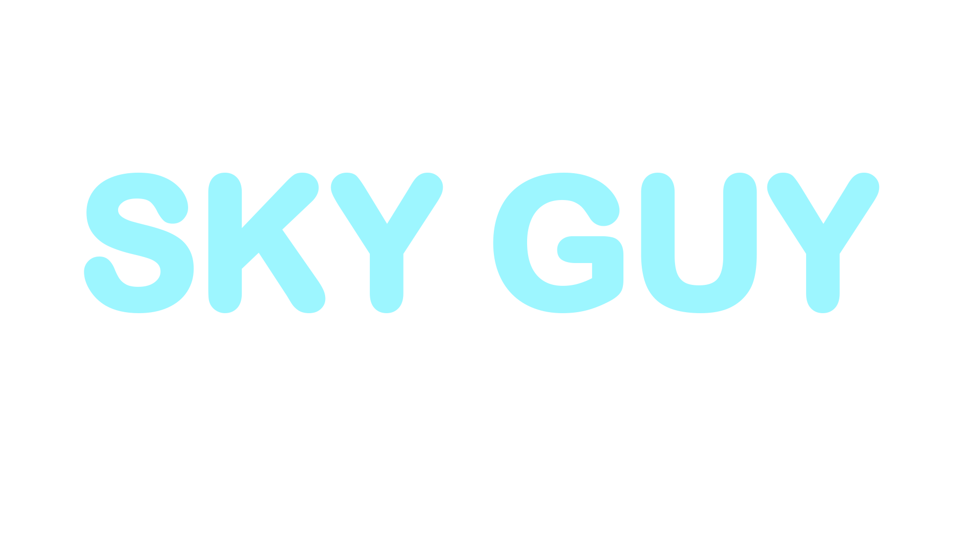The Sky Guy logo.